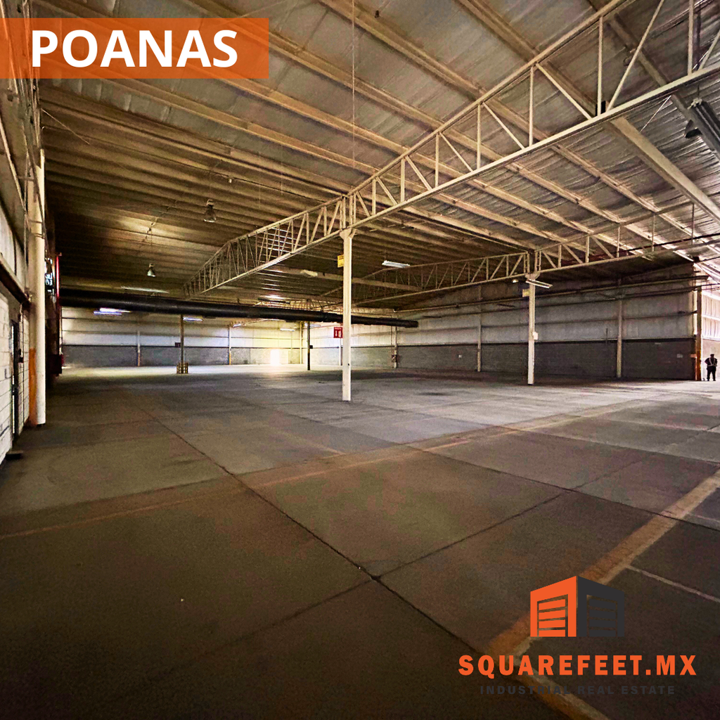 poanas4.png