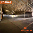 poanas4.png