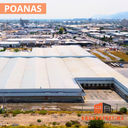 poanas2.png