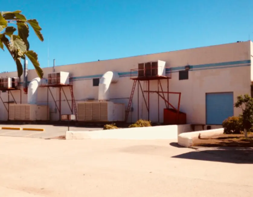 Copy of IMG_2485.webp