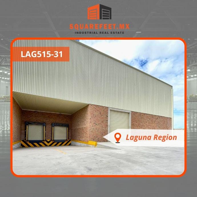 LAG515-31