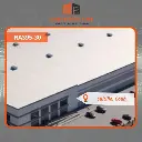 RAS95-30