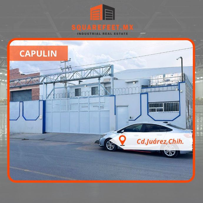 Capulin