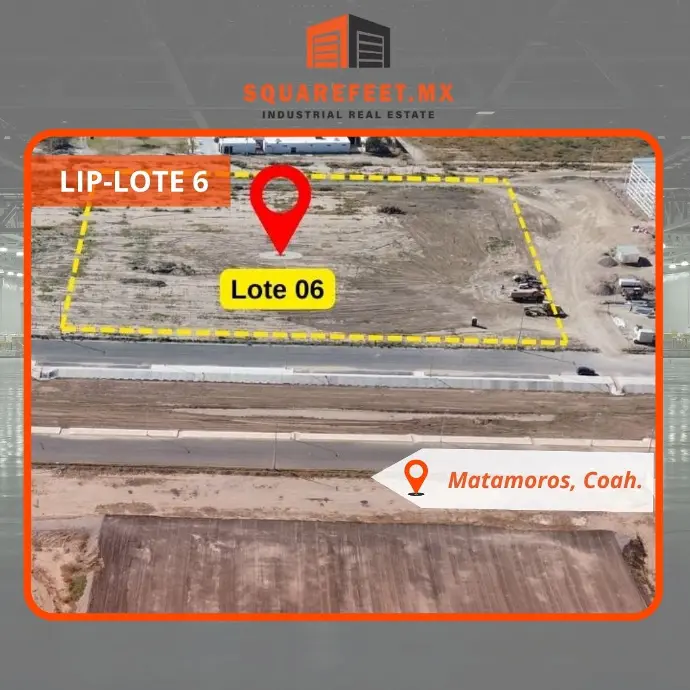 LIP-LOTE 6