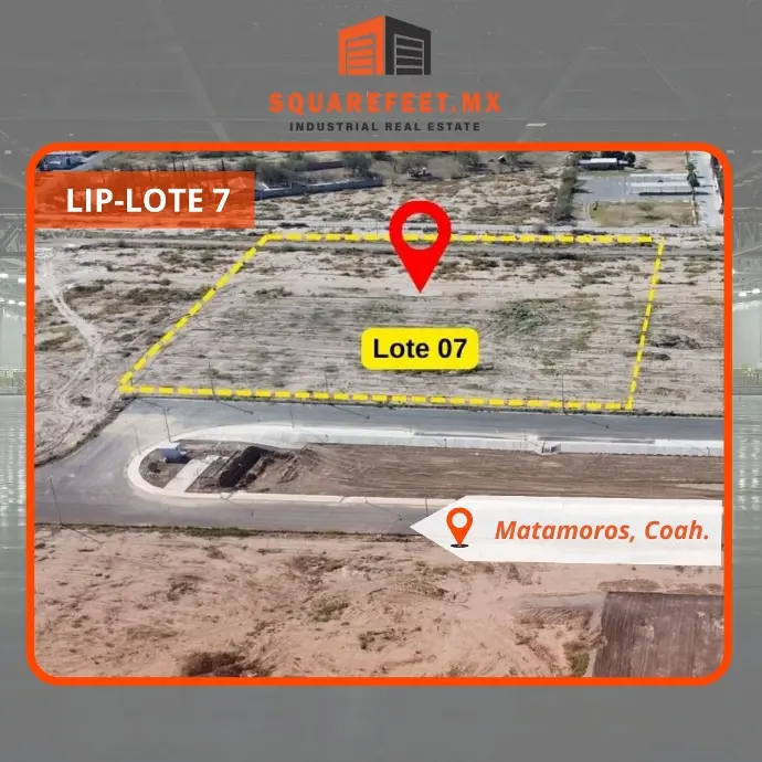 LIP-LOTE 7