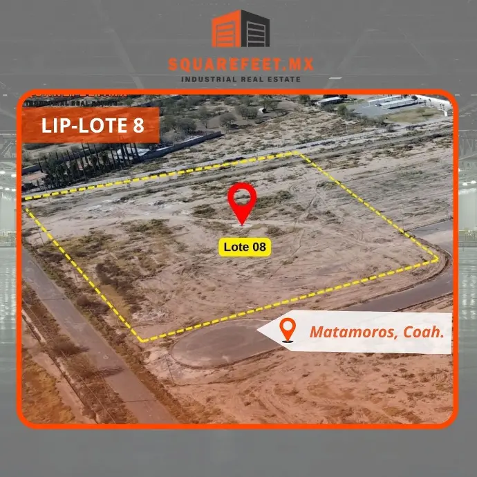 LIP-LOTE 8
