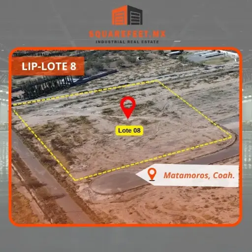 LIP-LOTE 8
