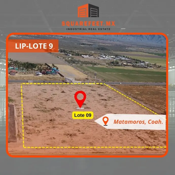 LIP-LOTE 9